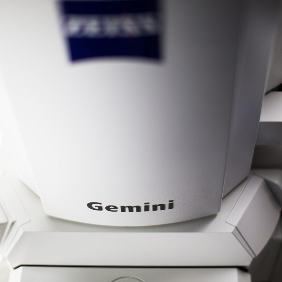 gemini-sem_column_detail.jpg